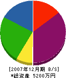 藤田建設 貸借対照表 2007年12月期