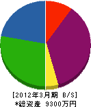 藤川組 貸借対照表 2012年3月期