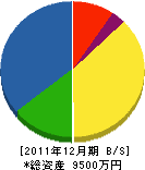 桜建設 貸借対照表 2011年12月期