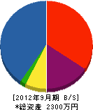 鶴田塗装 貸借対照表 2012年9月期