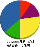 亀山電機 貸借対照表 2012年5月期