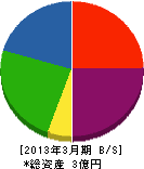 誠進開発 貸借対照表 2013年3月期