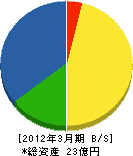 松和電子システム 貸借対照表 2012年3月期