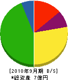 篠田石材工業 貸借対照表 2010年9月期