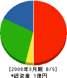 岩田土木興業 貸借対照表 2008年3月期