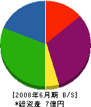 ＊田サッシ 貸借対照表 2008年6月期