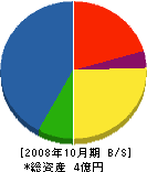 筑博興産 貸借対照表 2008年10月期