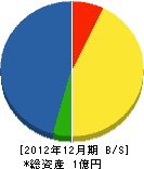佐藤工務所 貸借対照表 2012年12月期