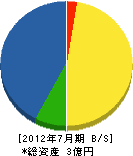 エスタ近江 貸借対照表 2012年7月期