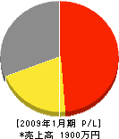 井上ラジオ店 損益計算書 2009年1月期