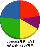 町田ポンプ店 貸借対照表 2009年4月期