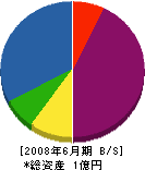 奈良屋銅鉄本店 貸借対照表 2008年6月期