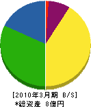 上野産業 貸借対照表 2010年3月期