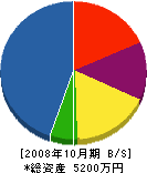 ダイト 貸借対照表 2008年10月期