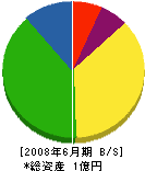 辻工務店 貸借対照表 2008年6月期