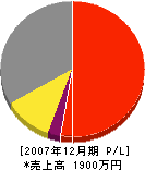 真田ガラス店 損益計算書 2007年12月期