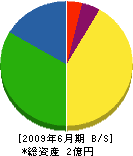 山田組 貸借対照表 2009年6月期