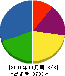 杉尾組 貸借対照表 2010年11月期