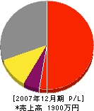 平山工業 損益計算書 2007年12月期