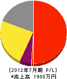 和田塗装 損益計算書 2012年7月期