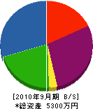 永野土木建設 貸借対照表 2010年9月期