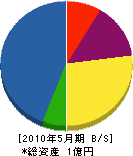 上野建設 貸借対照表 2010年5月期