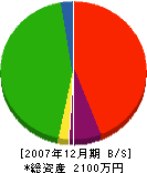大崎園芸場 貸借対照表 2007年12月期
