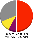 田口美建 損益計算書 2008年12月期