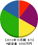 石井工務店 貸借対照表 2012年10月期
