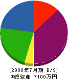松田組 貸借対照表 2008年7月期