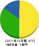エステート川井 貸借対照表 2011年12月期