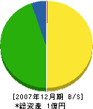 柴垣組 貸借対照表 2007年12月期