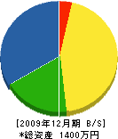 佐藤緑化 貸借対照表 2009年12月期