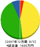 鈴木庭園 貸借対照表 2007年12月期