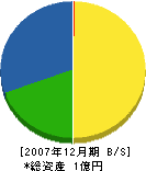 阪上工務店 貸借対照表 2007年12月期