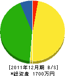 岩井電工 貸借対照表 2011年12月期