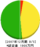 中田建設 貸借対照表 2007年12月期