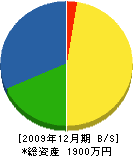 佐藤造園 貸借対照表 2009年12月期
