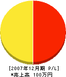 田代塗装店 損益計算書 2007年12月期