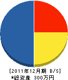 堀越工業所 貸借対照表 2011年12月期