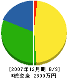 岡村工務店 貸借対照表 2007年12月期