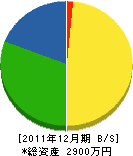 亀山鑿泉工業所 貸借対照表 2011年12月期