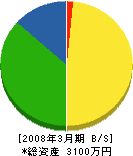 岩田 貸借対照表 2008年3月期