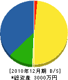 加藤電気水道 貸借対照表 2010年12月期