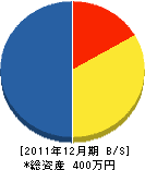 衣川工務店 貸借対照表 2011年12月期