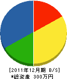 檜山電気商会 貸借対照表 2011年12月期