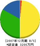 江草建設 貸借対照表 2007年12月期