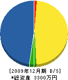 松田建工 貸借対照表 2009年12月期