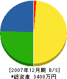 名田建設 貸借対照表 2007年12月期