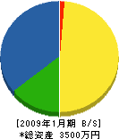 大日本製畳 貸借対照表 2009年1月期